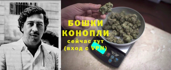 дживик Корсаков