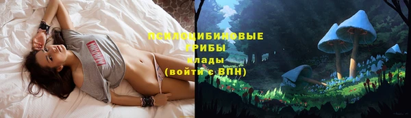 дживик Корсаков